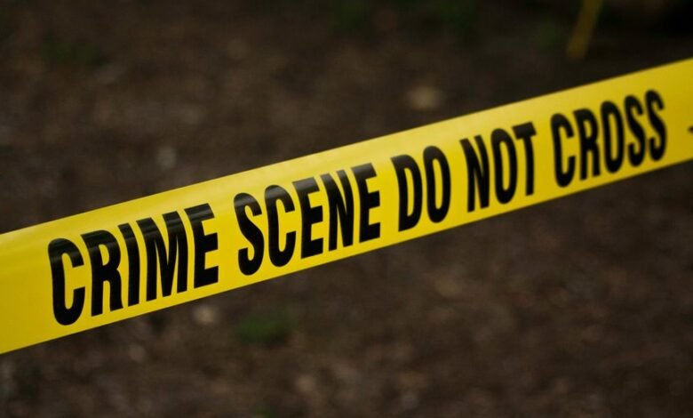fraud investigation phone numbers