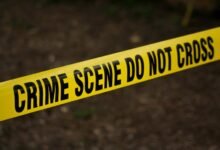 fraud monitoring enforcement bureau